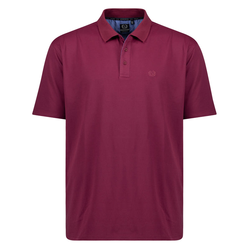 Laden Sie das Bild in Galerie -Viewer, Poloshirt von Adamo