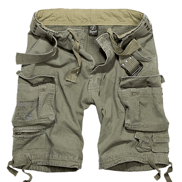Laden Sie das Bild in Galerie -Viewer, Cargo-Shorts "Savage" von Brandit Artikelbild 2