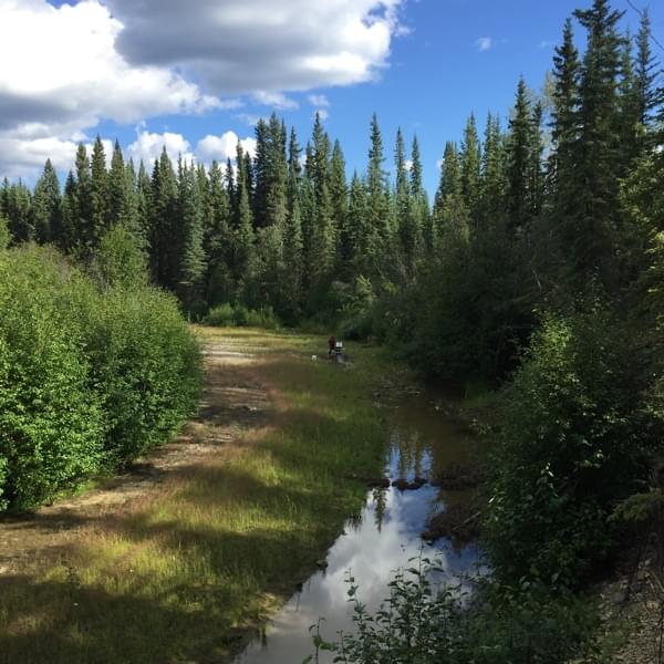 Laden Sie das Bild in Galerie -Viewer, Klondike-Goldmine (87 Claims auf 570 ha) mit Abbauerlaubnis Artikelbild 3
