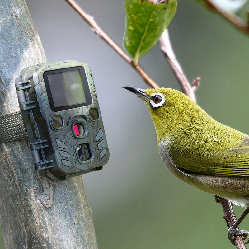 Laden Sie das Bild in Galerie -Viewer, In- und Outdoor Überwachungskamera