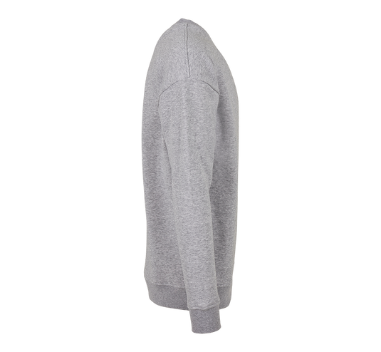 Sweatshirt "Campus"