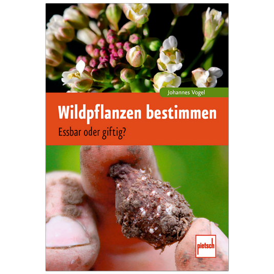 Wildpflanzen bestimmen - Essbar oder giftig? Artikelbild 1