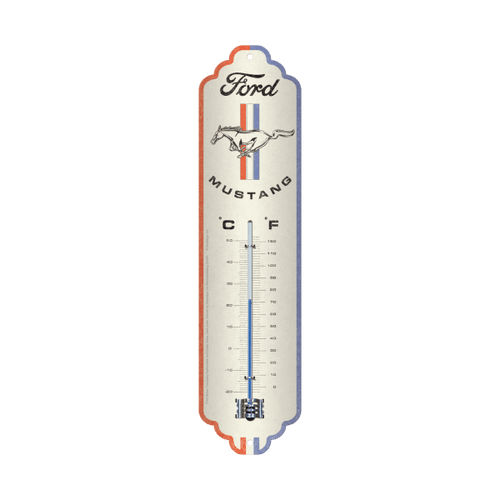 Thermometer 