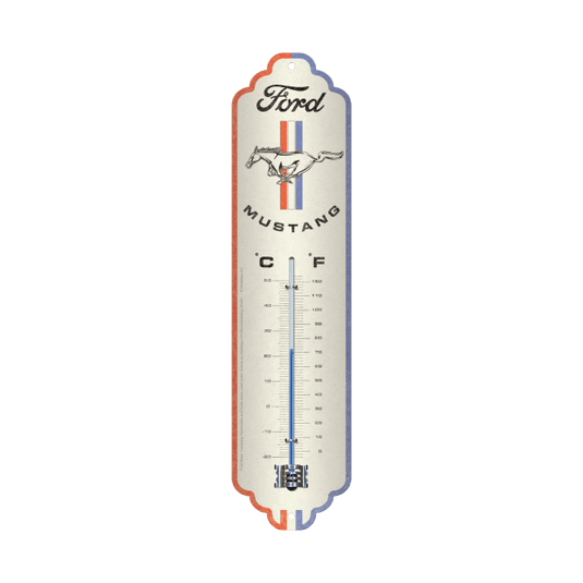 Thermometer 