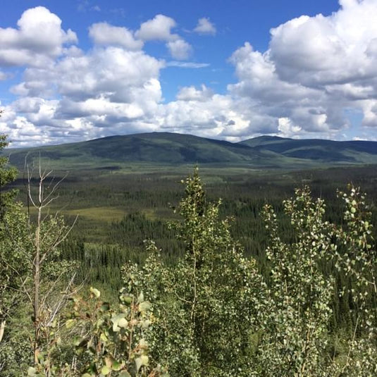 Klondike-Goldmine (87 Claims auf 570 ha) mit Abbauerlaubnis Artikelbild 4