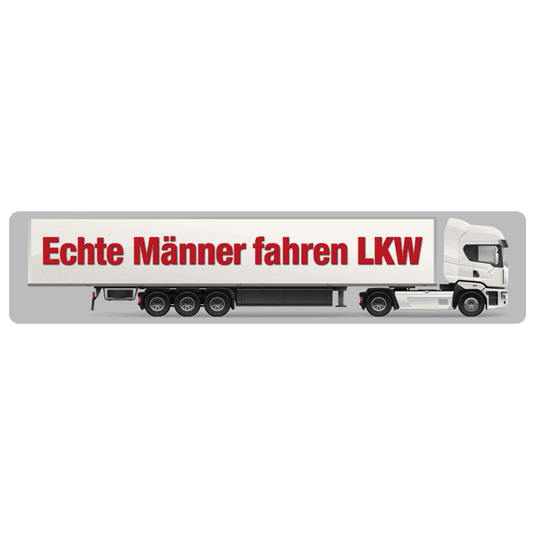 Straßenschild "Echte Männer fahren LKW" Artikelbild 1