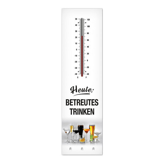 Thermometer 