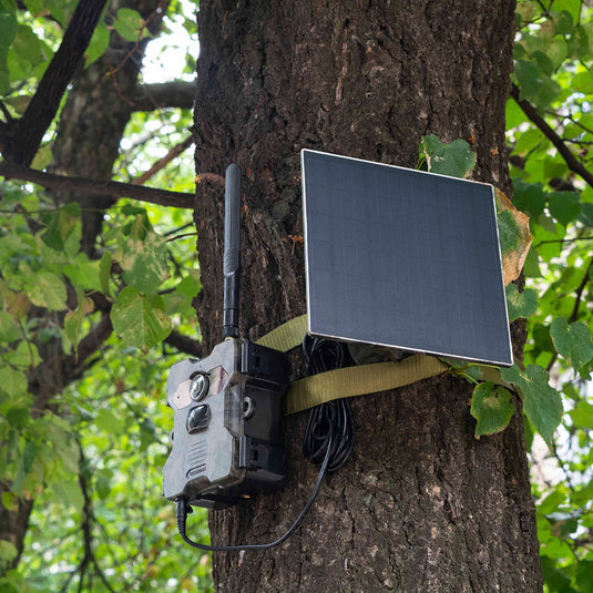 4G Wild- und Überwachungskamera mit Solarpanel