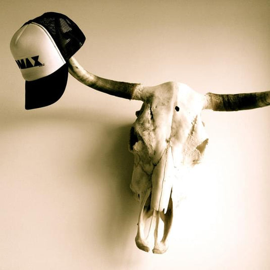 DMAX Trucker-Cap Artikelbild 3