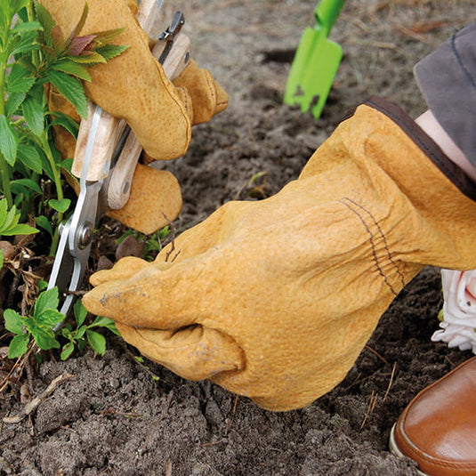 Gartenhandschuhe Schweinsleder Artikelbild 2